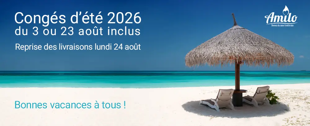 Cong&eacute;s d'&eacute;t&eacute; Amilo