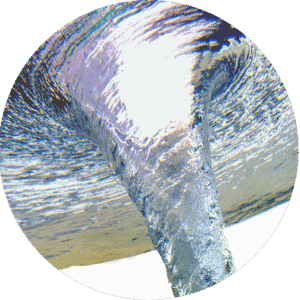 Vortex Amilo