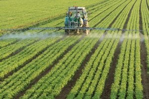 Les pesticides dans le corps humain