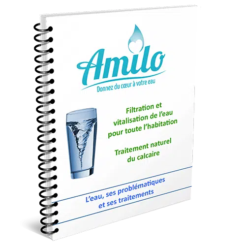 Ebook Amilo sur l'eau, ses problématiques et traitements