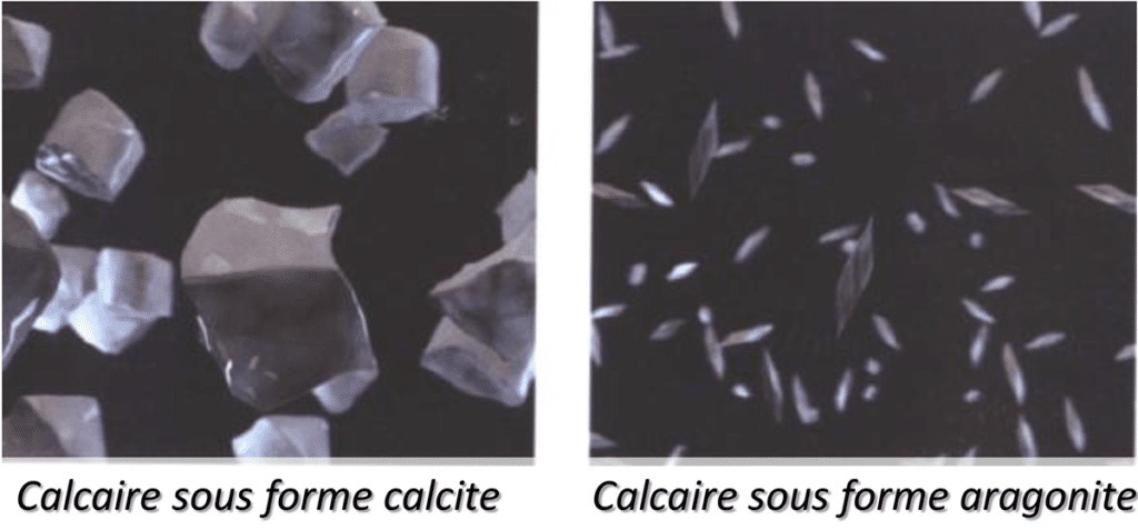 Au sujet de l’aragonite