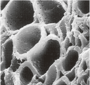 carbón activado al microscopio