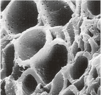 Greensen Filtre de charbon actif de l'éponge biochimique