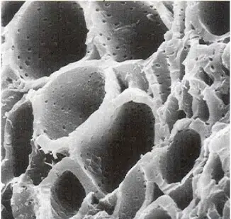 charbon actif vu au microscope