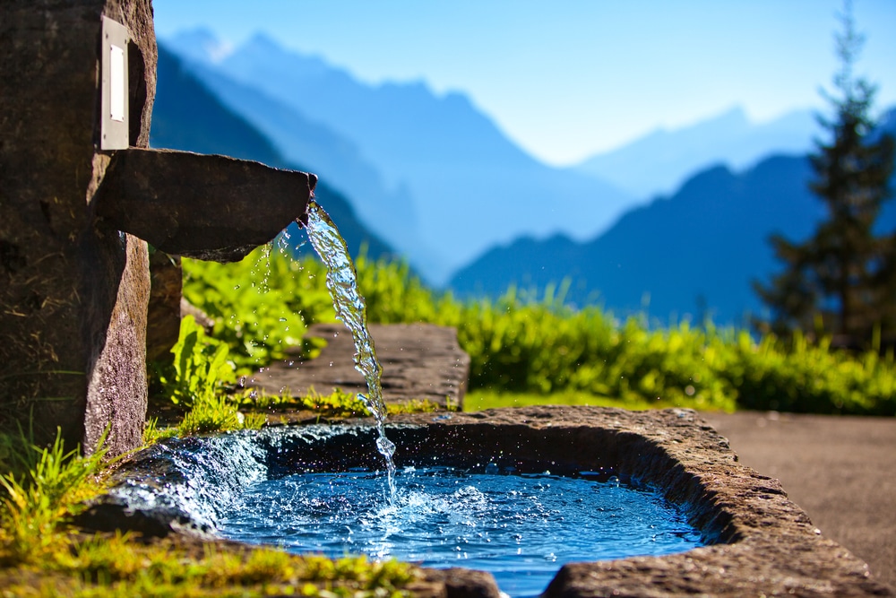 Filtration naturelle Amilo pour habitation