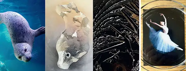 Webinaire gratuit le 27 mars 2026 : l'eau a encore beaucoup à nous apprendre