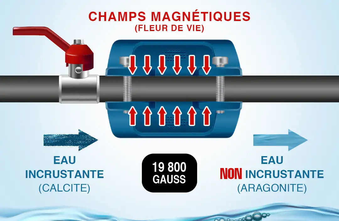 Anti calcaire magnetique D-CALC Plus pour maison 