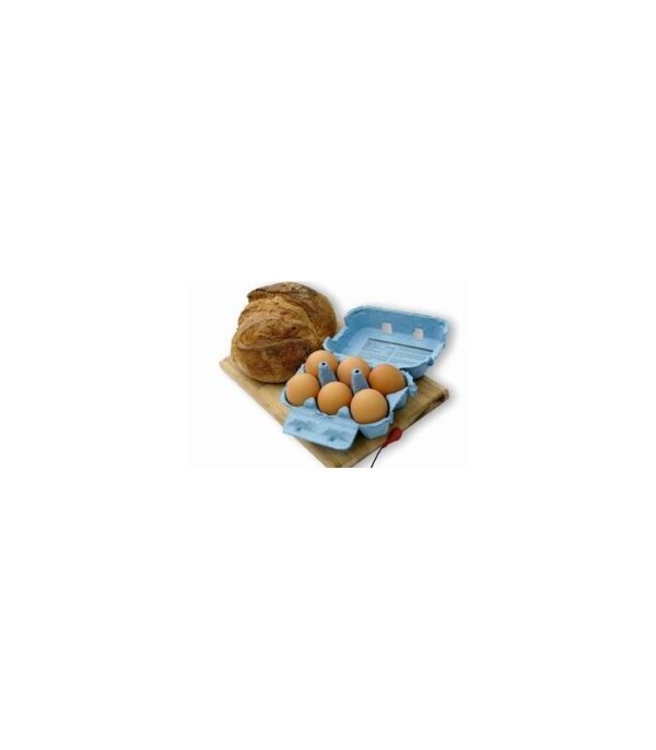 Zappicator Dr Clark pour les aliments – Image 2
