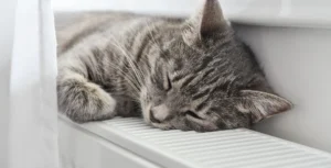 économiseur de chauffage