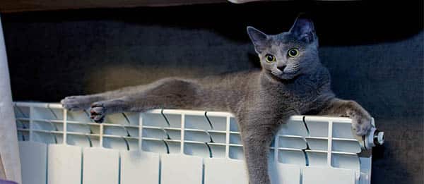 économiseur de chauffage Amilo Flux