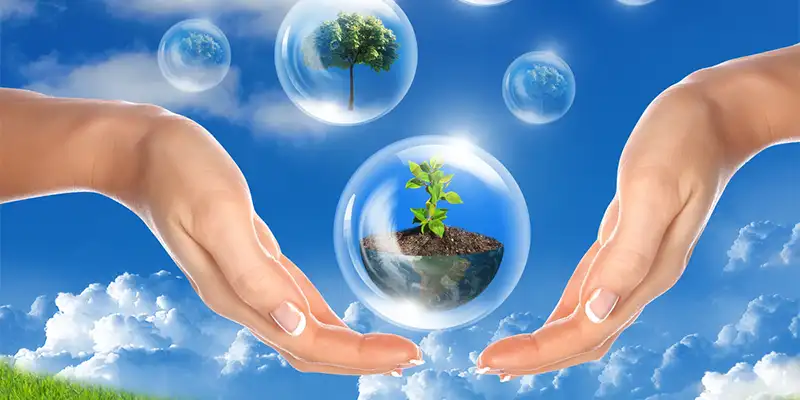 NETY es un limpiador natural 100%