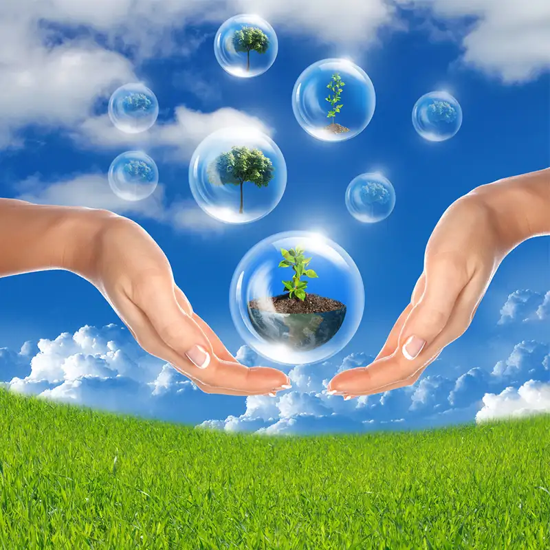 Consejos ecológicos